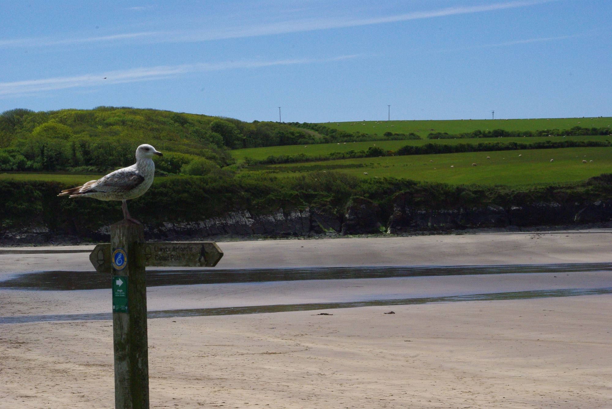 Newport Camping | Best campsites in Newport, Pembrokeshire